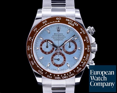 rolex daytona brown